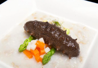 南方海參和北方海參有什么區別 怎么分辨南方海參和北方海參的不同