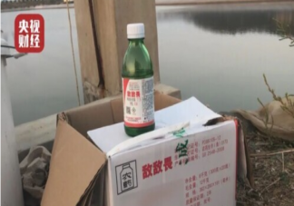 海參養殖放敵敵畏是怎么回事 敵敵畏能用于海參養殖嗎