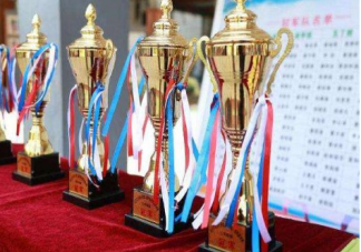 如何看待小學生課外獲獎 小學生課外獲獎作弊該不該處罰