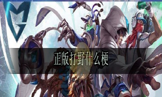 正版打野是什么意思什么梗 正版打野出處來源是什么
