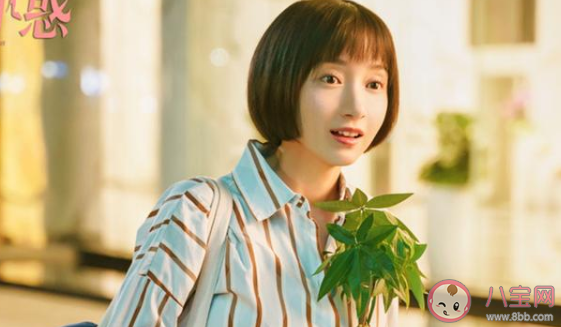 《二十不惑》四個女生的結局是什么 四個女孩的結局介紹