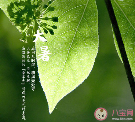 2020今日大暑圖片問候語朋友圈文案 2020今日大暑圖片朋友圈說說配文