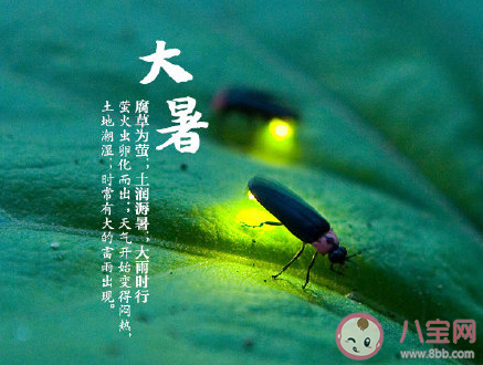 2020今日大暑圖片問候語朋友圈文案 2020今日大暑圖片朋友圈說說配文