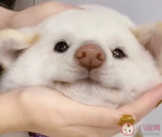 脖子疼落枕幽默搞笑說說 落枕了說說圖片大全