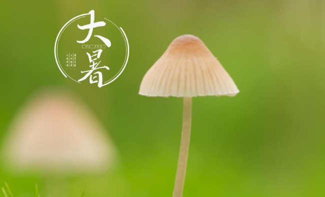 2020大暑到了的優美文案朋友圈說說 2020大暑節氣美好的祝福語文案句子 2020大暑到了的優美文案朋友圈說說 2020大暑節氣美好的祝福語文案句子