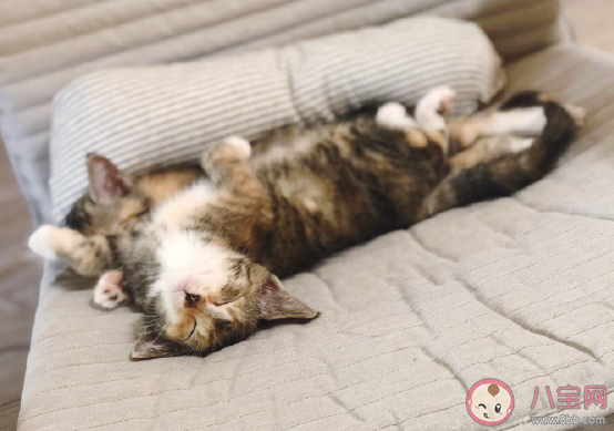 又困又累又疲憊的心情短語 沒精神發朋友圈說說