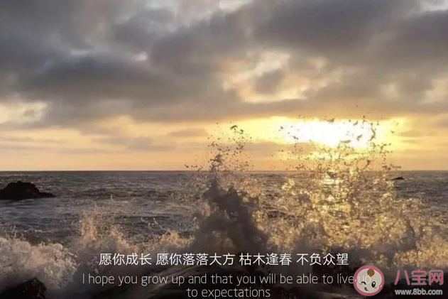 有哪些適合告別的句子 適合告別的朋友圈句子大全