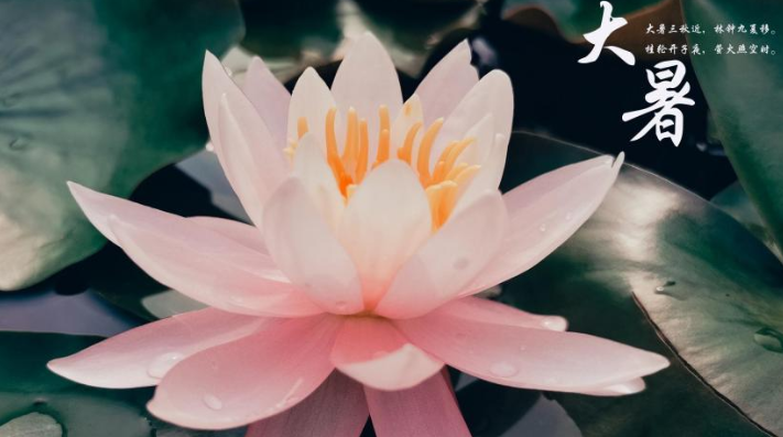 2020大暑節氣的短信祝福語說說文案 2020大暑節氣送祝福的暖心說說句子