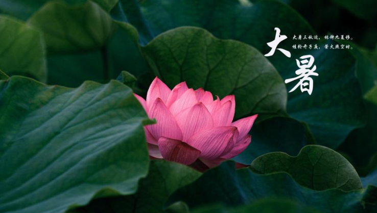 2020大暑節氣的短信祝福語說說文案 2020大暑節氣送祝福的暖心說說句子