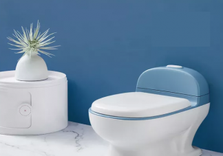 兒童小馬桶買哪種好 挑選兒童馬桶四個標準