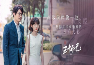 三十而已鐘曉芹大結(jié)局是什么 鐘曉芹和鐘曉陽(yáng)在一起了嗎