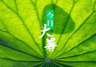 大暑節氣好熱發朋友圈說說 感慨大暑熱心情感言