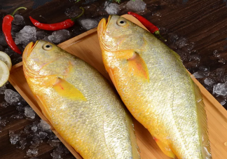 哪些魚類適合給寶寶做輔食 適合給寶寶吃的魚