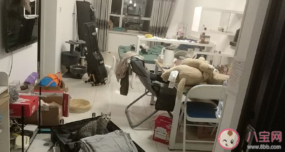 關于一個人搬家的心情說說 適合搬家發朋友圈感言。 關于一個人搬家的心情說說 適合搬家發朋友圈感言。