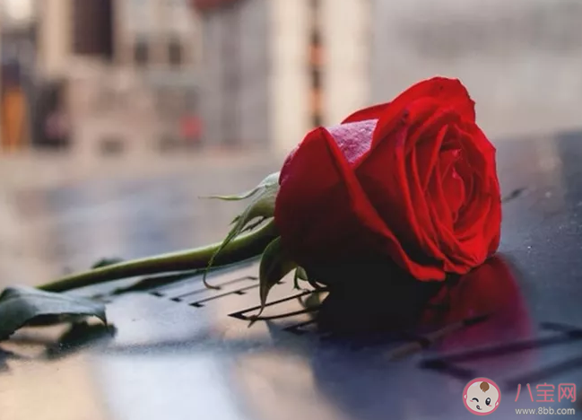 形容熱愛生活的文案句子 ?表達熱愛生活的朋友圈文案分享