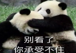 考試沒考好心情不好的說說 考試考砸了怎么發朋友圈