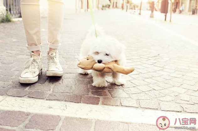 心情很壓抑的朋友圈說說 心情很壓抑沒人傾訴的情感語錄 心情很壓抑的朋友圈說說 心情很壓抑沒人傾訴的情感語錄