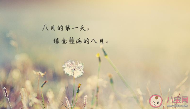 2020八月請對我好一點的朋友圈文案說說 2020八月請對我好一點發(fā)朋友圈句子