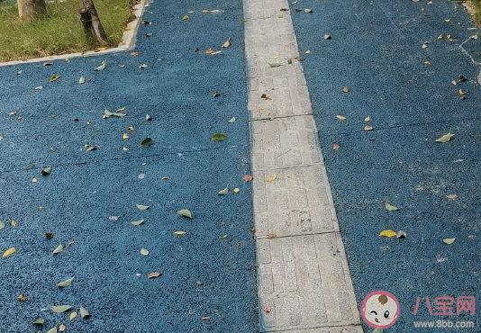 表達秋天來了的說說心情短語 唯美好看秋天來了朋友圈感言