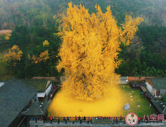 表達秋天來了的說說心情短語 唯美好看秋天來了朋友圈感言