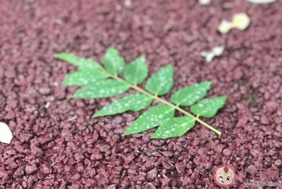 感慨又是一年冬天的心情說說 轉(zhuǎn)眼就是冬天了朋友圈感悟