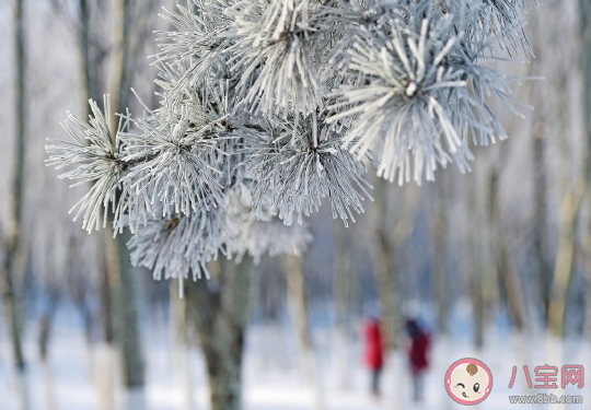 感慨又是一年冬天的心情說說 轉(zhuǎn)眼就是冬天了朋友圈感悟