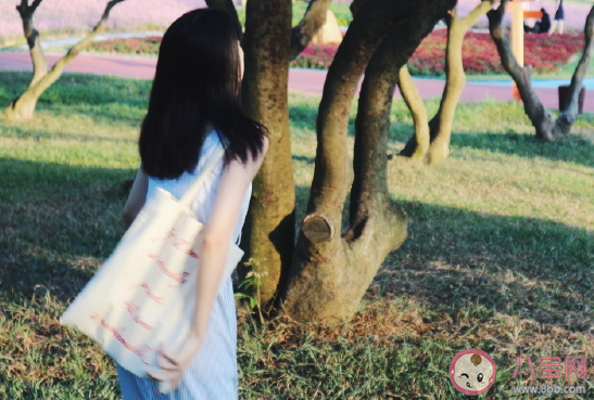 夏天吃不完的西瓜怎樣保存 西瓜怎么挑選好