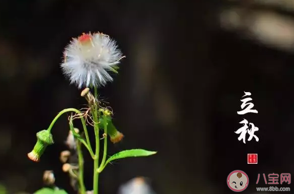 立秋節氣到簡單一句祝福語大全 立秋節氣注意身體問候語句子