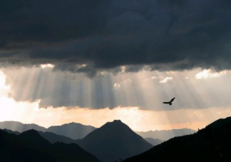 立秋發朋友圈簡單的說說2020 立秋文案配文大全