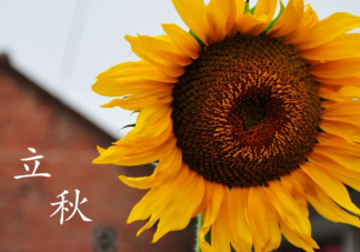 立秋節氣到簡單一句祝福語大全 立秋節氣注意身體問候語句子