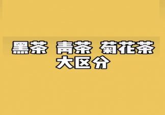 黑茶/青茶/菊花茶分別是什么意思 黑茶/青茶/菊花茶形容什么類型女生