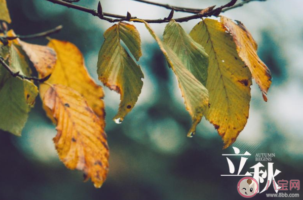 2020立秋節(jié)氣圖片發(fā)朋友圈祝福語說說 2020立秋節(jié)氣經(jīng)典祝福語圖片朋友圈