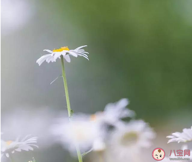 七月再見八月你好正能量句子 七月再見八月你好說說帶圖片 七月再見八月你好正能量句子 七月再見八月你好說說帶圖片