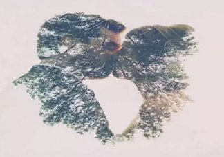 不成熟的戀愛(ài)觀是怎樣的 成熟的愛(ài)情觀有什么特征