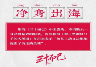 凈身出海是什么意思什么梗 凈身出海梗出處來源是什么