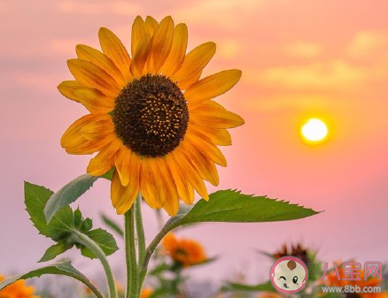 伴侶之間要不要保留隱私 伴侶之間還應該互相有隱私嗎 伴侶之間要不要保留隱私 伴侶之間還應該互相有隱私嗎