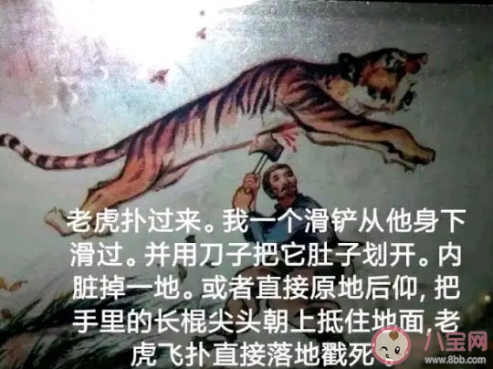 滑鏟殺老虎是什么意思什么梗 滑鏟殺老虎梗的來源出處介紹