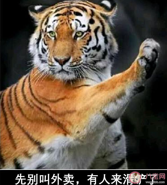 滑鏟殺老虎是什么意思什么梗 滑鏟殺老虎梗的來源出處介紹