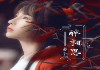 抖音夜深深醉夢人相思它留幾盞燈是什么歌 ?《醉相思》完整版歌詞在線試聽