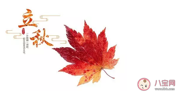 2020立秋節氣溫馨暖人短句合集 適合立秋美好祝福語大全