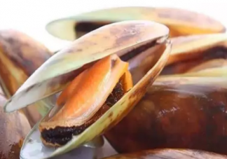 青口貝要怎么清洗才能洗干凈 青口貝功效與禁忌介紹