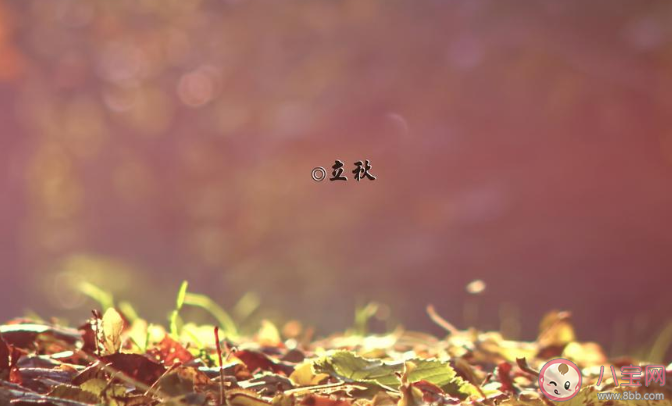 2020立秋圖片一句話發(fā)朋友圈文案 2020立秋圖片美好朋友圈說說 2020立秋圖片一句話發(fā)朋友圈文案 2020立秋圖片美好朋友圈說說