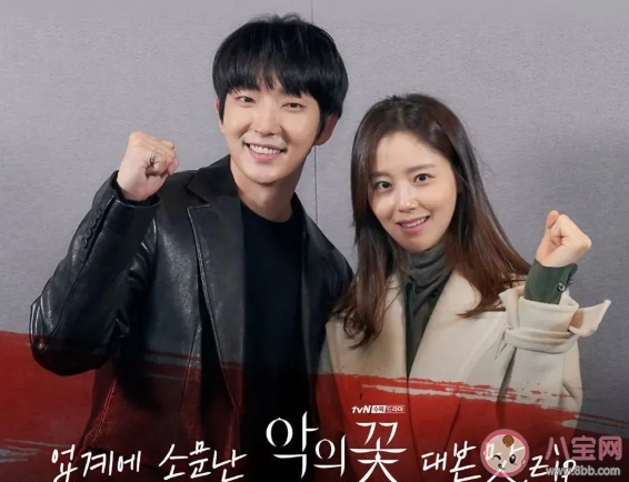 韓劇惡之花改編自什么小說 惡之花有原著小說嗎