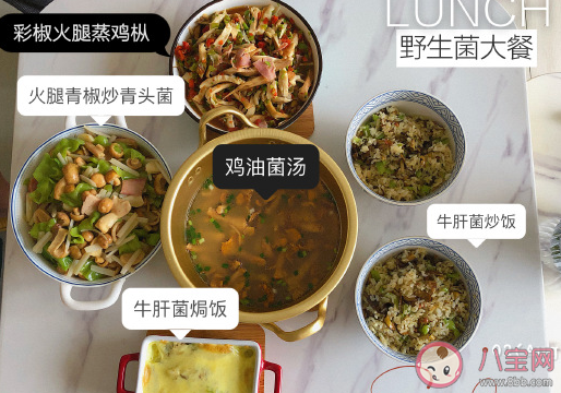 關(guān)于吃野生菌發(fā)朋友圈說說 吃到菌子經(jīng)典幽默句子