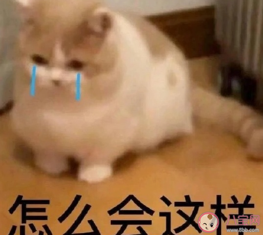 關于總是睡不醒的朋友圈搞笑說說 表達自己睡不醒幽默搞笑說說