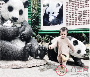 第一次帶孩子去動物園的朋友圈說說 第一次陪孩子來動物園的感受句子