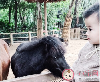 第一次帶孩子去動物園的朋友圈說說 第一次陪孩子來動物園的感受句子