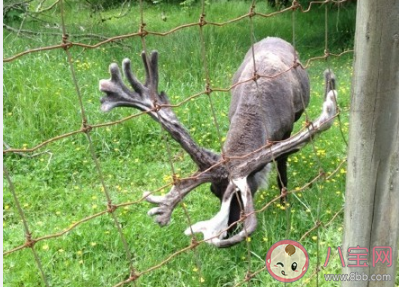 陪孩子去動(dòng)物園玩發(fā)朋友圈說(shuō)說(shuō) 陪孩子逛動(dòng)物園的感受說(shuō)說(shuō)