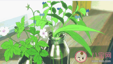 最新網(wǎng)抑云風(fēng)格語(yǔ)錄句子大全 一人一句網(wǎng)抑云風(fēng)格語(yǔ)錄吧