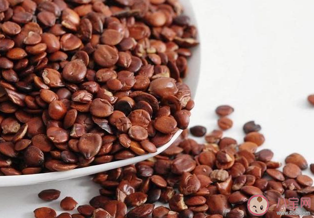 酸棗仁泡水喝能治失眠嗎 酸棗仁喝多久有效果